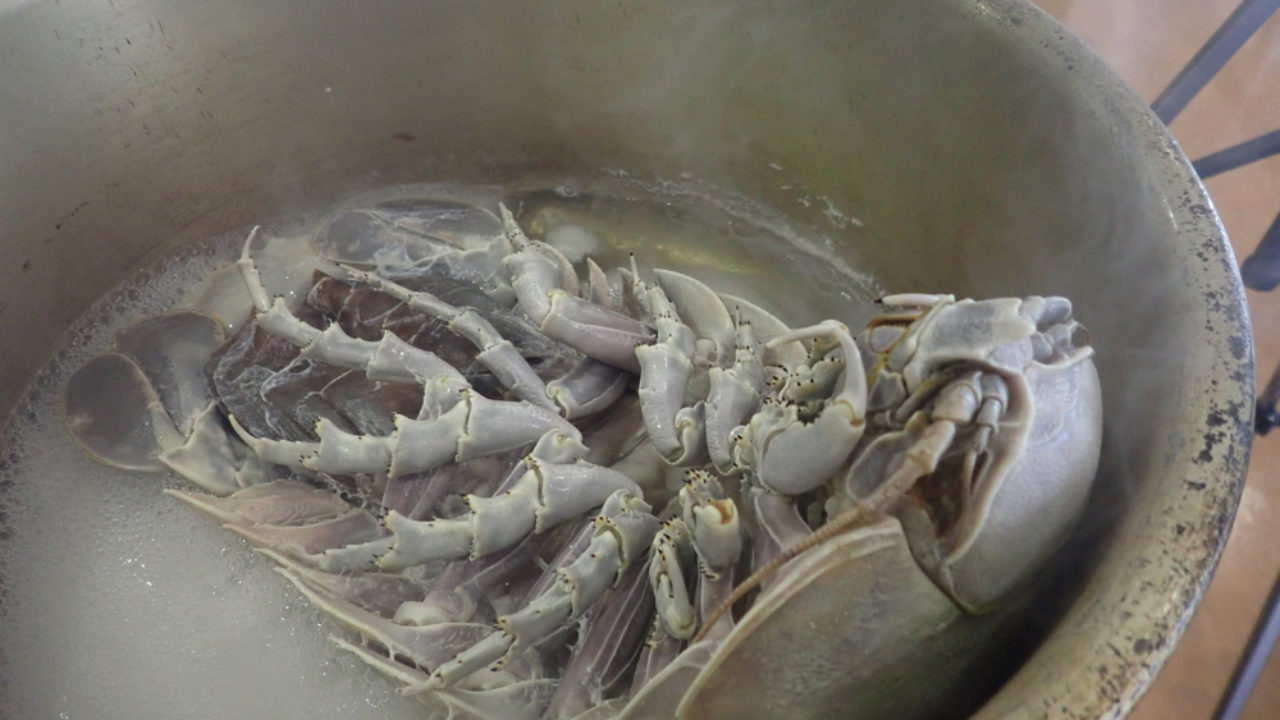 仙台うみの杜水族館 深海魚ナイト終了 平坂寛のフィールドノート