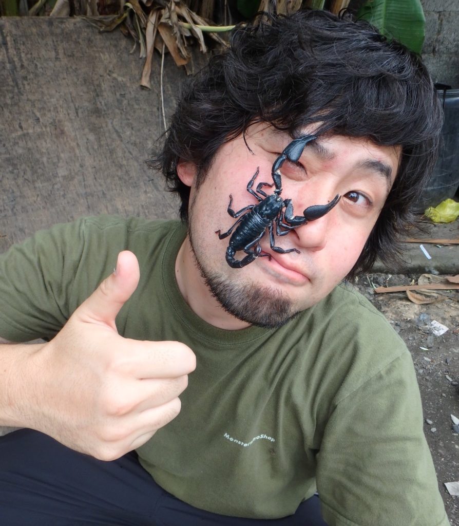 アジアンフォレストスコーピオン採り | 平坂寛のフィールドノート