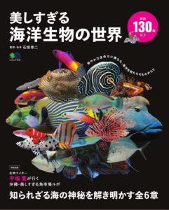 アオミオカタニシの貝殻は透明 平坂寛のフィールドノート